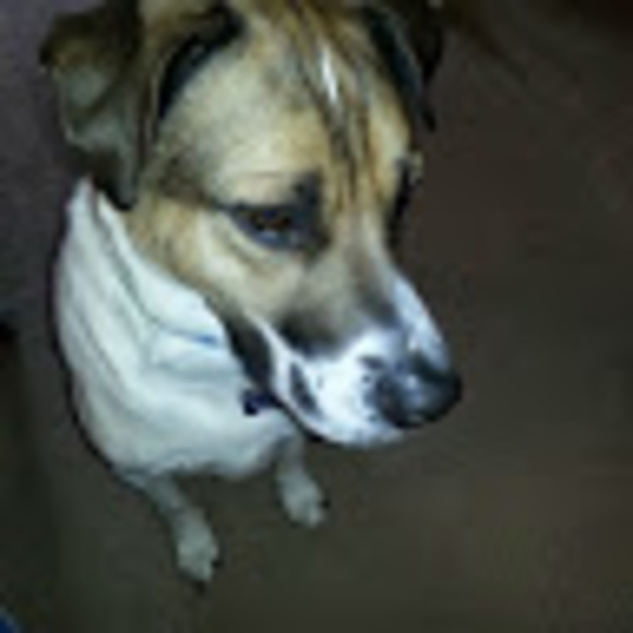 Meet the Posher Other - Meet your Posher, Sylvie